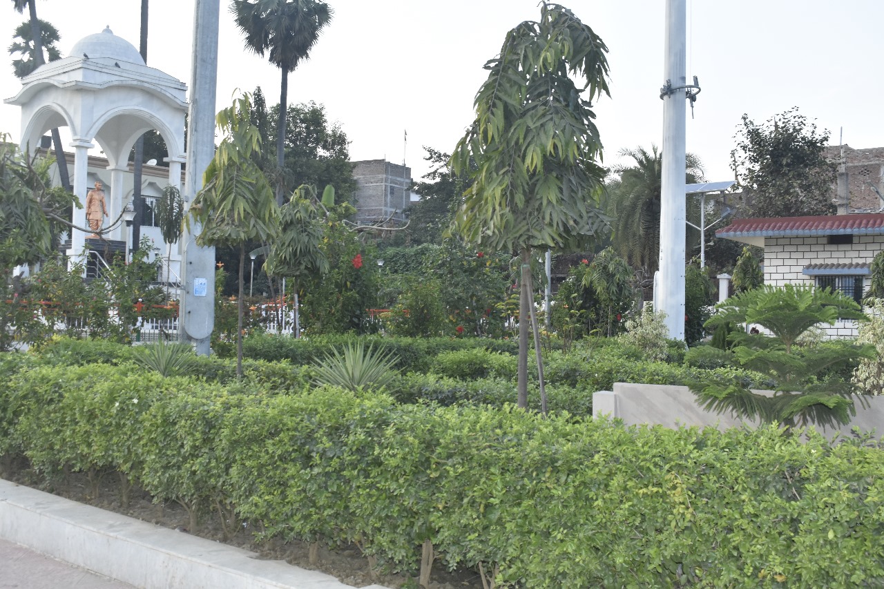 website template image